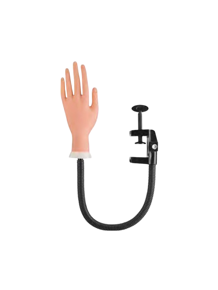 Mano per ricostruzione con supporto